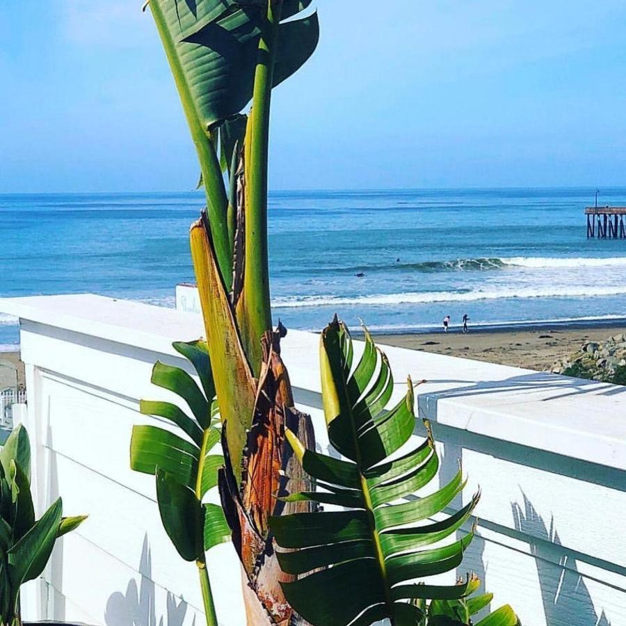 Pier View Suites Cayucos Εξωτερικό φωτογραφία